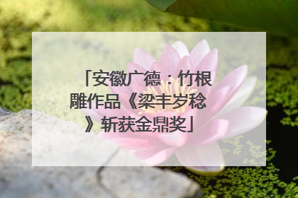 安徽广德：竹根雕作品《梁丰岁稔》斩获金鼎奖