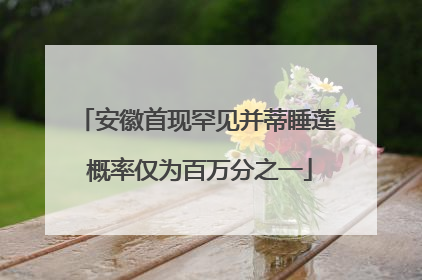 安徽首现罕见并蒂睡莲 概率仅为百万分之一