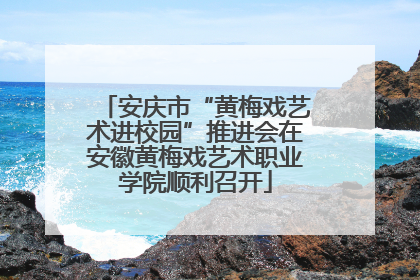 安庆市“黄梅戏艺术进校园”推进会在安徽黄梅戏艺术职业学院顺利召开