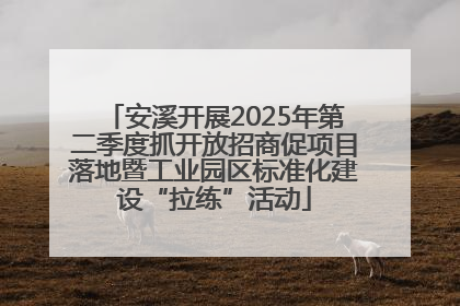 安溪开展2025年第二季度抓开放招商促项目落地暨工业园区标准化建设“拉练”活动