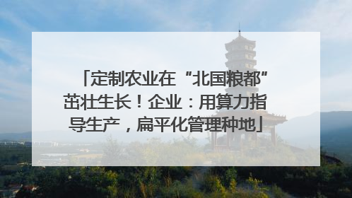 定制农业在“北国粮都”茁壮生长！企业：用算力指导生产，扁平化管理种地