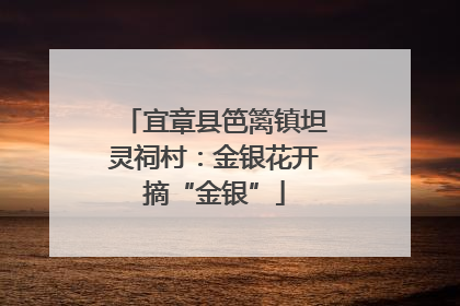 宜章县笆篱镇坦灵祠村：金银花开摘“金银”