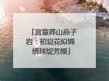 宜章莽山燕子岩：初夏花似锦 绣球绽芳颜