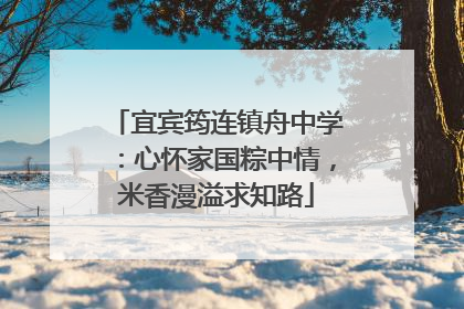 宜宾筠连镇舟中学：心怀家国粽中情，米香漫溢求知路