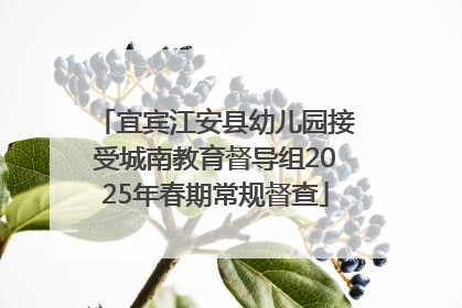 宜宾江安县幼儿园接受城南教育督导组2025年春期常规督查