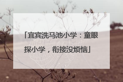 宜宾洗马池小学：童眼探小学，衔接没烦恼