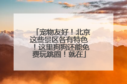 宠物友好！北京这些景区各有特色！这里狗狗还能免费玩跳圈！就在