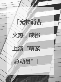 宠物消费火热，成都上演“萌宠总动员”