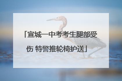 宣城一中考考生腿部受伤 特警推轮椅护送
