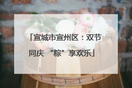 宣城市宣州区：双节同庆 “粽”享欢乐