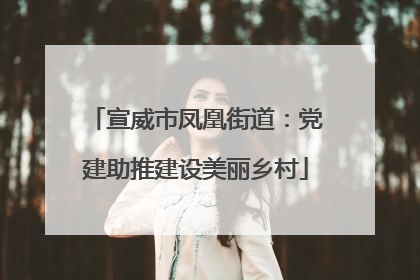 宣威市凤凰街道：党建助推建设美丽乡村