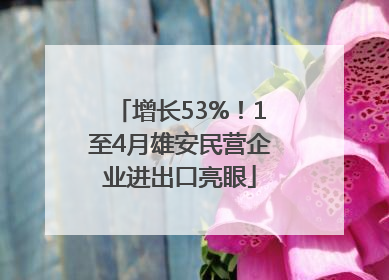 增长53%！1至4月雄安民营企业进出口亮眼