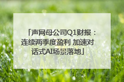 声网母公司Q1财报：连续两季度盈利 加速对话式AI场景落地