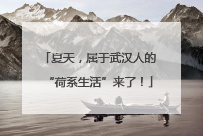 夏天，属于武汉人的“荷系生活”来了！