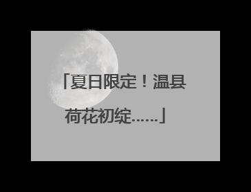 夏日限定！温县荷花初绽……
