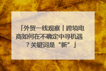 外贸一线观察丨跨境电商如何在不确定中寻机遇？关键词是“新”