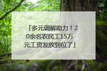 多元调解助力！20余名农民工15万元工资发放到位了