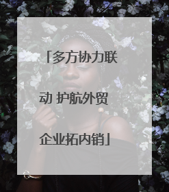 多方协力联动 护航外贸企业拓内销
