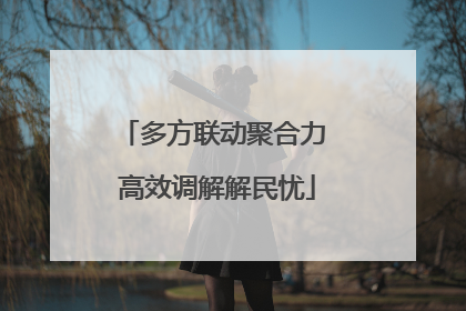 多方联动聚合力 高效调解解民忧