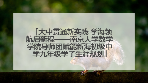 大中贯通新实践 学海领航启新程——南京大学数学学院导师团赋能新海初级中学九年级学子生涯规划