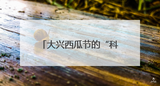 大兴西瓜节的“科技烟火气”：机器狗搬瓜、AI摊煎饼