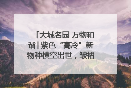 大城名园 万物和谐│紫色“高冷”新物种横空出世，皱褶叶片暗藏进化密码
