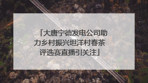 大唐宁德发电公司助力乡村振兴坦洋村春茶评选赛直播引关注