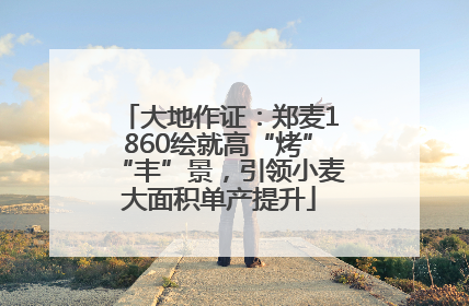 大地作证：郑麦1860绘就高“烤”“丰”景，引领小麦大面积单产提升
