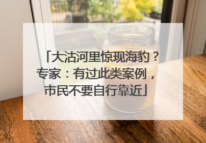 大沽河里惊现海豹？专家：有过此类案例，市民不要自行靠近