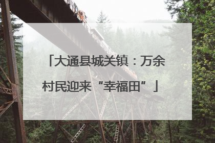 大通县城关镇：万余村民迎来“幸福田”