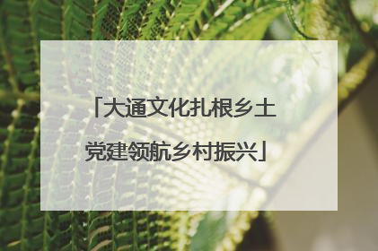 大通文化扎根乡土 党建领航乡村振兴