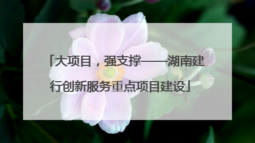 大项目，强支撑——湖南建行创新服务重点项目建设