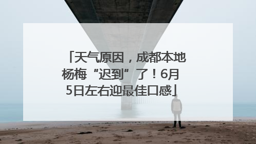 天气原因，成都本地杨梅“迟到”了！6月5日左右迎最佳口感
