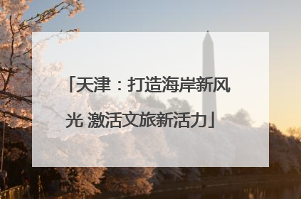 天津：打造海岸新风光 激活文旅新活力