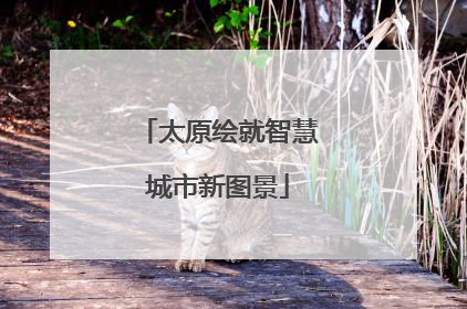 太原绘就智慧城市新图景