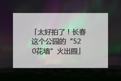 太好拍了！长春这个公园的“520花墙”火出圈