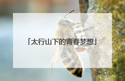 太行山下的青春梦想