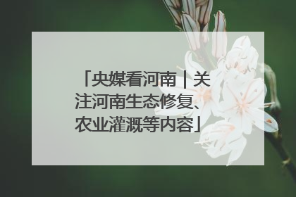 央媒看河南｜关注河南生态修复、农业灌溉等内容