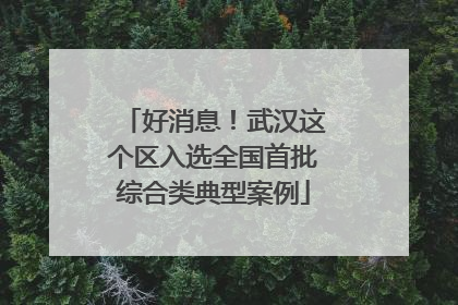 好消息！武汉这个区入选全国首批综合类典型案例