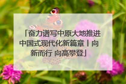 奋力谱写中原大地推进中国式现代化新篇章丨向新而行 向高攀登