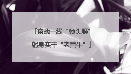 奋战一线“领头雁” 躬身实干“老黄牛”