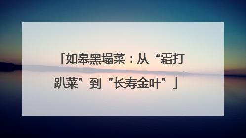 如皋黑塌菜：从“霜打趴菜”到“长寿金叶”