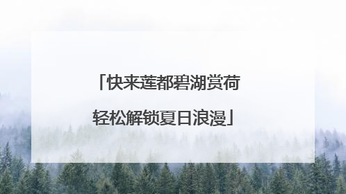 快来莲都碧湖赏荷 轻松解锁夏日浪漫