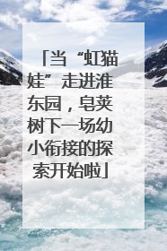 当“虹猫娃”走进淮东园，皂荚树下一场幼小衔接的探索开始啦