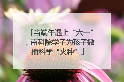当端午遇上“六一”，南科院学子为孩子撒播科学“火种”