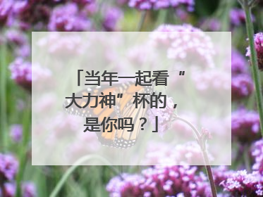 当年一起看“大力神”杯的，是你吗？