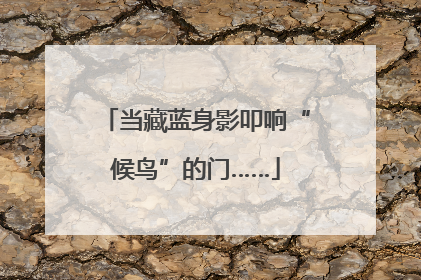 当藏蓝身影叩响“候鸟”的门……