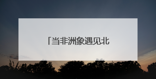 当非洲象遇见北京饲养员：看劳模如何破解“吨位萌宠”的养成密码