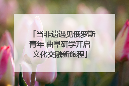当非遗遇见俄罗斯青年 曲阜研学开启文化交融新旅程
