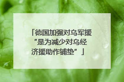 德国加强对乌军援 “是为减少对乌经济援助作铺垫”
